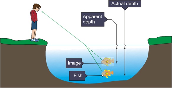 Actual Depth