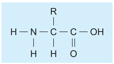 amino_acids