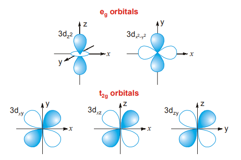 D Orbital