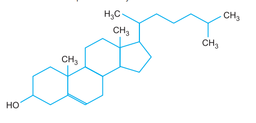 derived_lipids