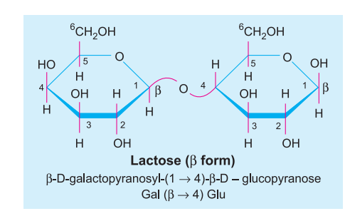 lactose