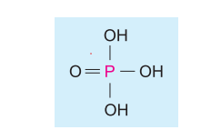 phosphate-group