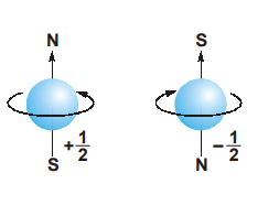 spin-quantum-number