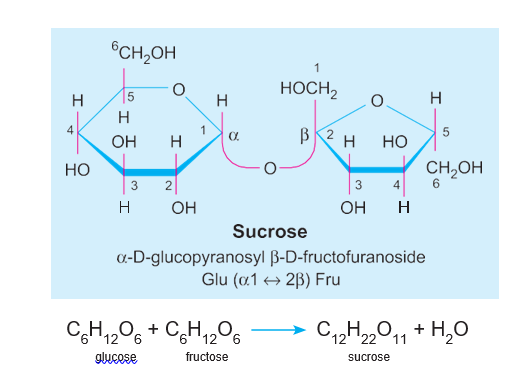 Sucrose