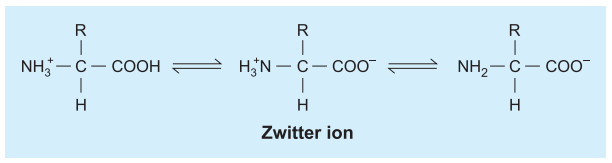 zwitter_ions