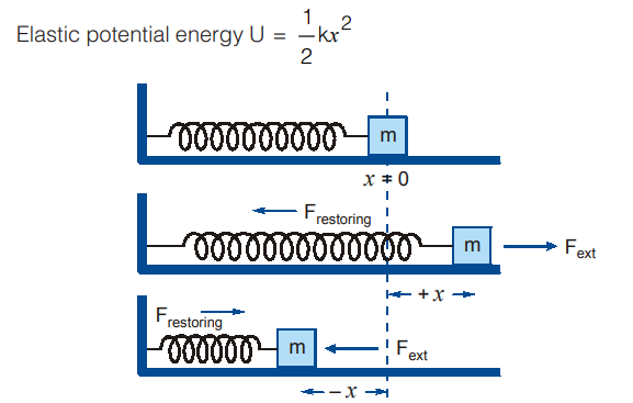 elastic potential energy