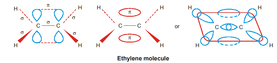 ethylene molecule