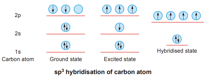 p orbitals