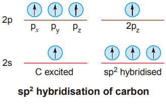 sp2 hybridisation